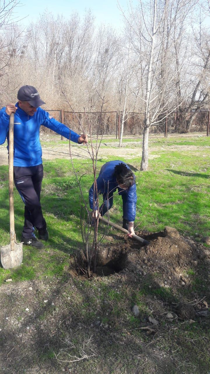 "Гүл ек, тал ек,туған жерді түлет!" ағаш отырғызу акциясы